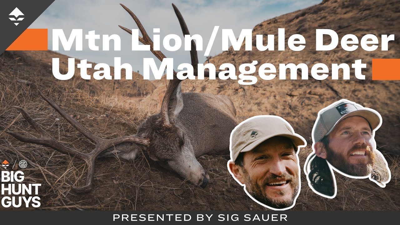Mountain Lions, Mule Deer, and Management: What Utah Is Testing&mdash;and Why | Big Hunt Guys, Ep. 211