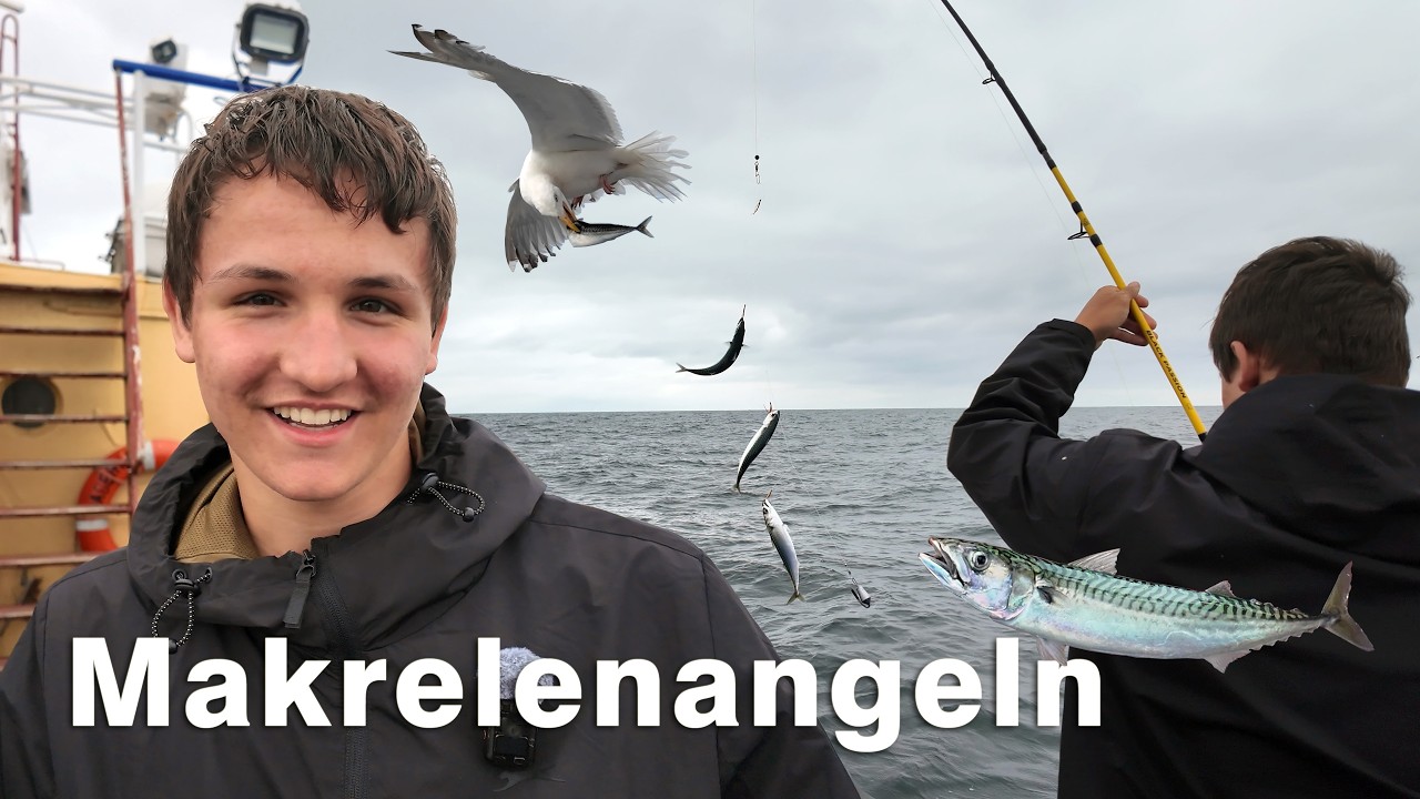 Makrelenangeln an der Nordsee - Meeresangeln mit Paternoster Montage
