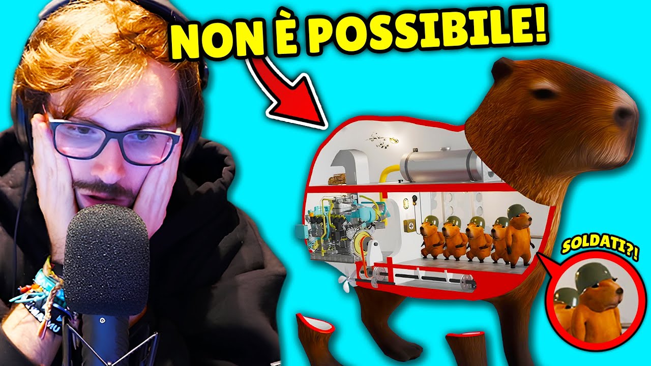 COME FUNZIONANO I CAPYBARA? (How it Works Reaction)