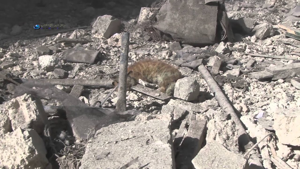 حلب : أصابة ثلاثة أشخاص بالقصف بالطيران الحربي على حي بستان القصر 16-6-2015