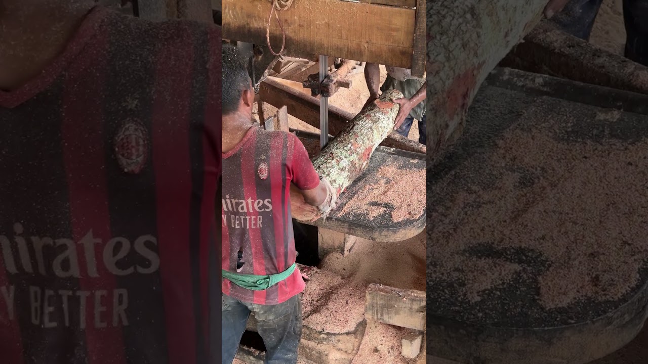 Precision Techniques From Log to Lumber by Expert Sawmill Operators