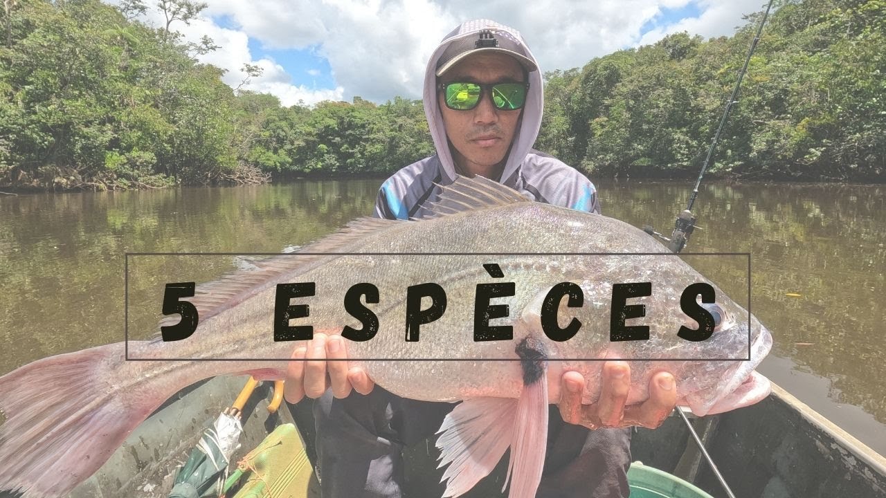 Pêche Guyane  - 2021 - Mes 5 plus belles prises (par espèce)