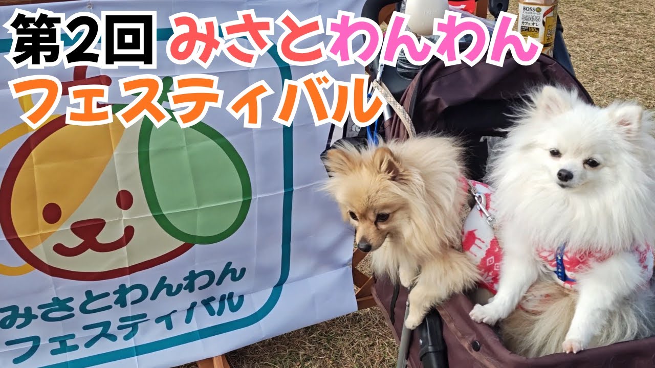 第2回みさとわんわんフェスティバルに行ってきた