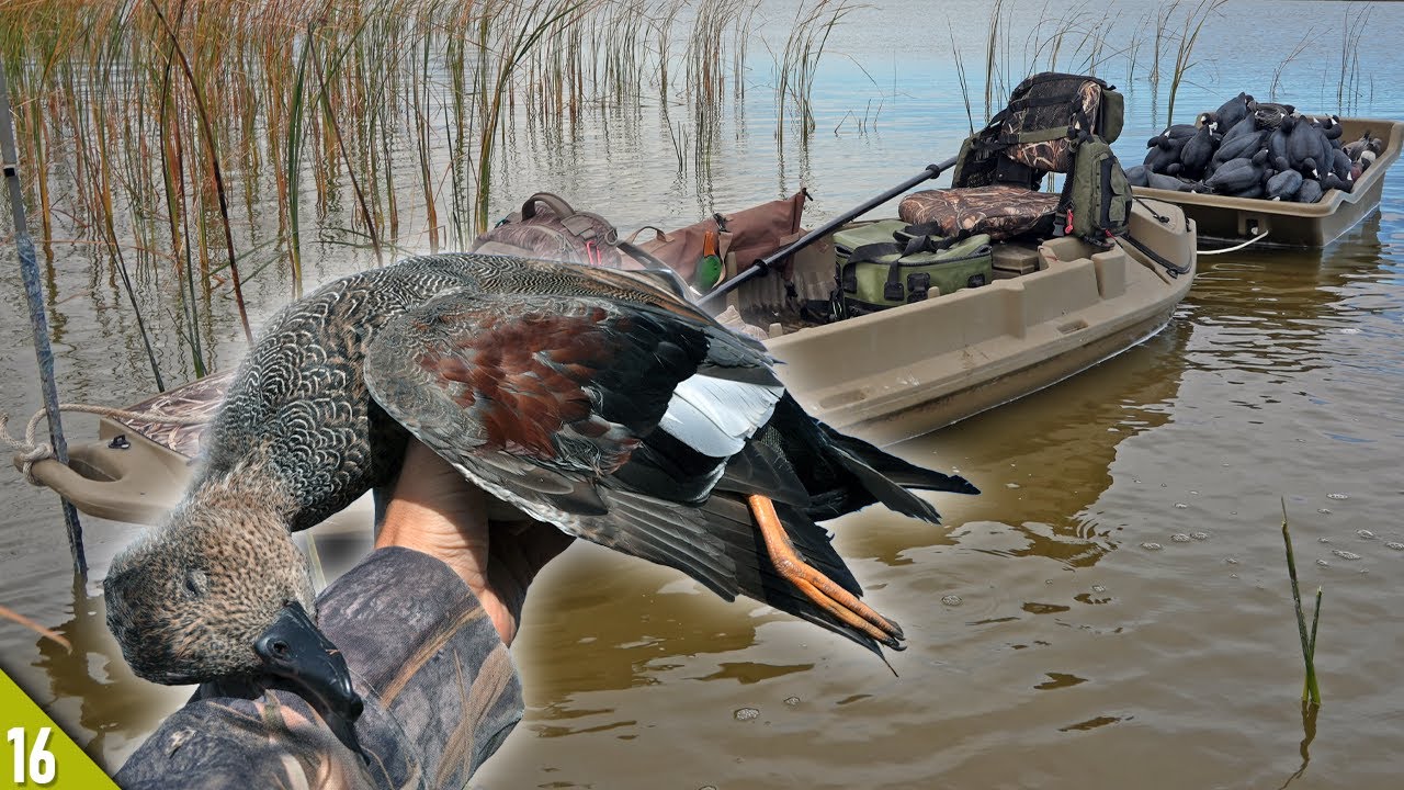Duck Hunting Over A BIG Coot Raft | Kayak Duck Hunting