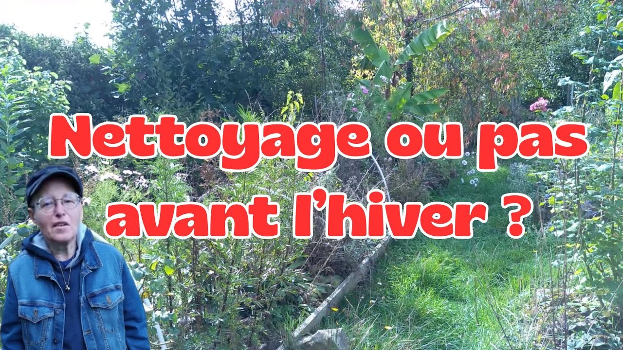 Nettoyage ou pas du Jardin avant l'Hiver ?