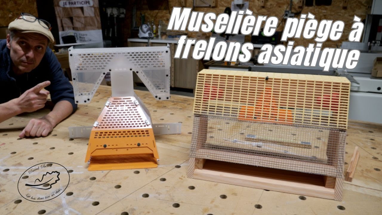 Muselière / piège à frelon asiatique