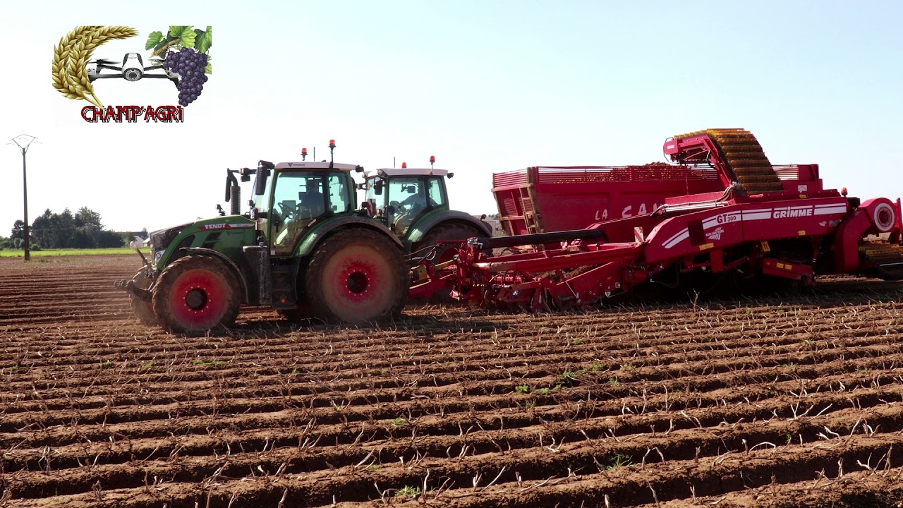 Arrachage de pommes de terre 2021 🥔!! 3 Fendt à la manœuvre avec une GT 300🚜🥔