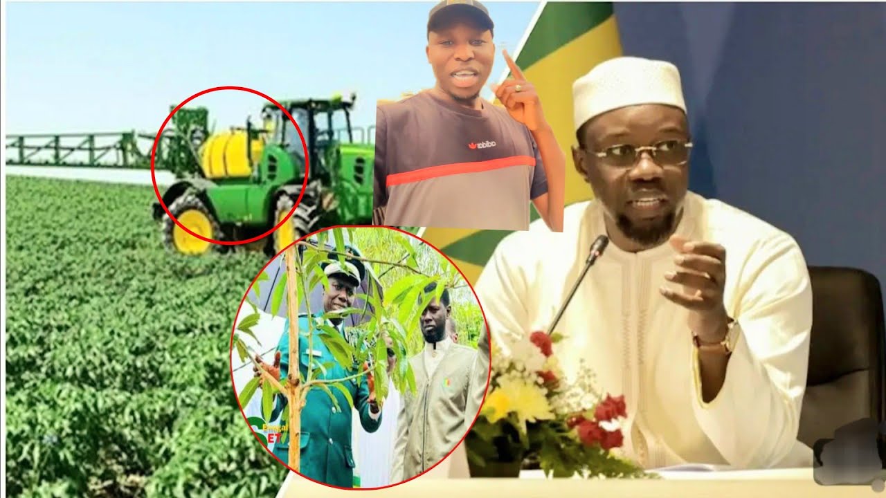 Bonne nouvelle Si mbaye mi Cheikh hanne Néna Dou...