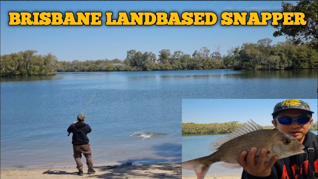 BRISBANE LANDBASED SNAPPER  | NORTH PINE RIVER