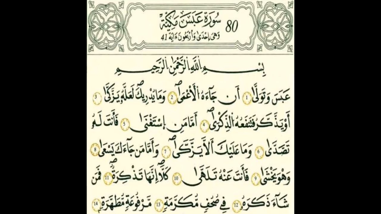 سورة عبس رواية قالون عن نافع بالرسم الداني شيخ وليد النائحي (التجويد اليبي)