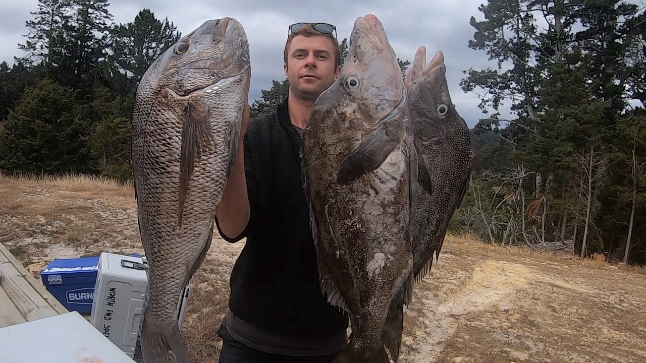 EPIC NZ Shorediving Spearfishing || Big Snapper, Giant Boarfish