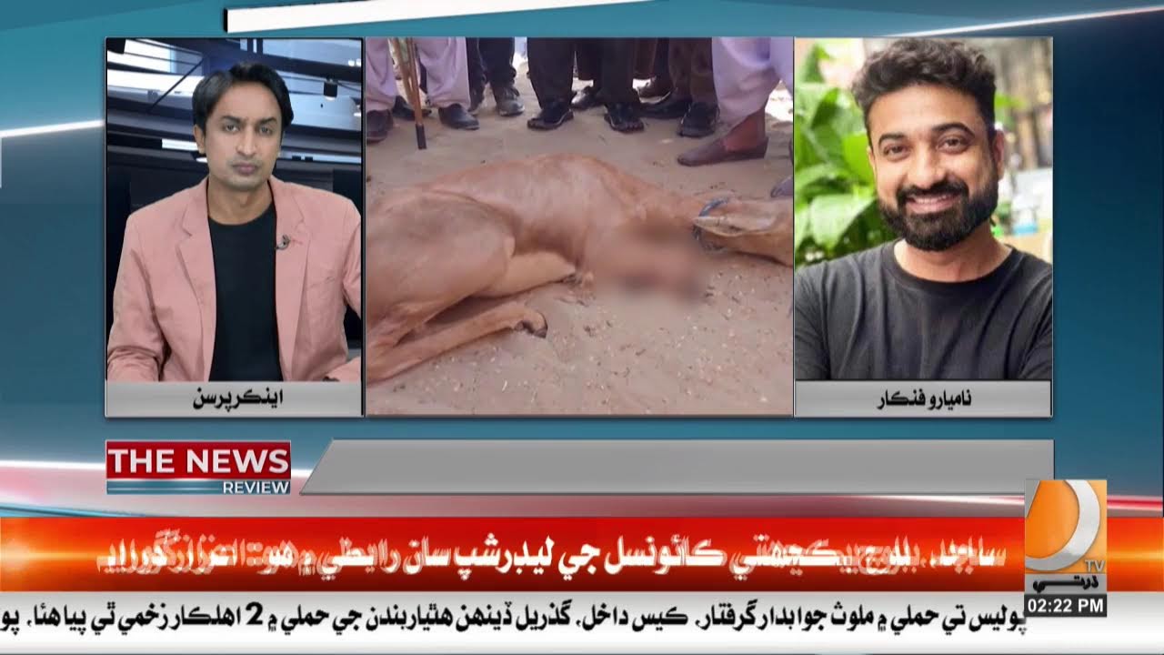 Dharti Tv Live Streaming News And Entertainment