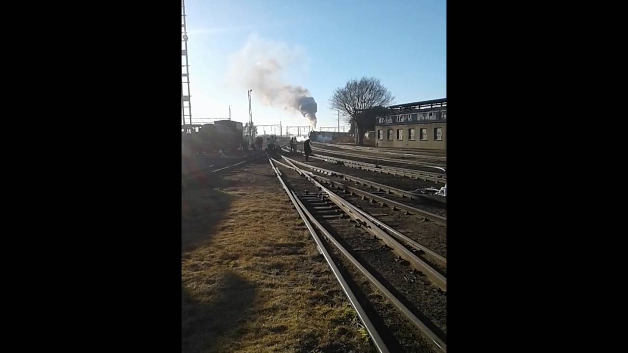 REEFSTEAMERS