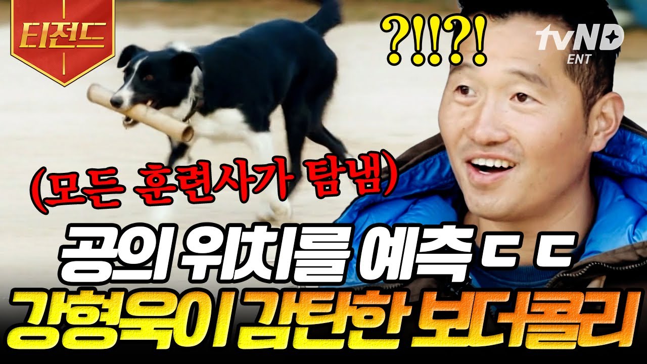 [#티전드] Aㅏ 행복하다… 반려견 자랑에 눈 반짝이는 강형욱👀 Go-Dog한 토크 하며 찐 행복 느끼는 중ㅋㅋㅋ🐶 | #고독한훈련사