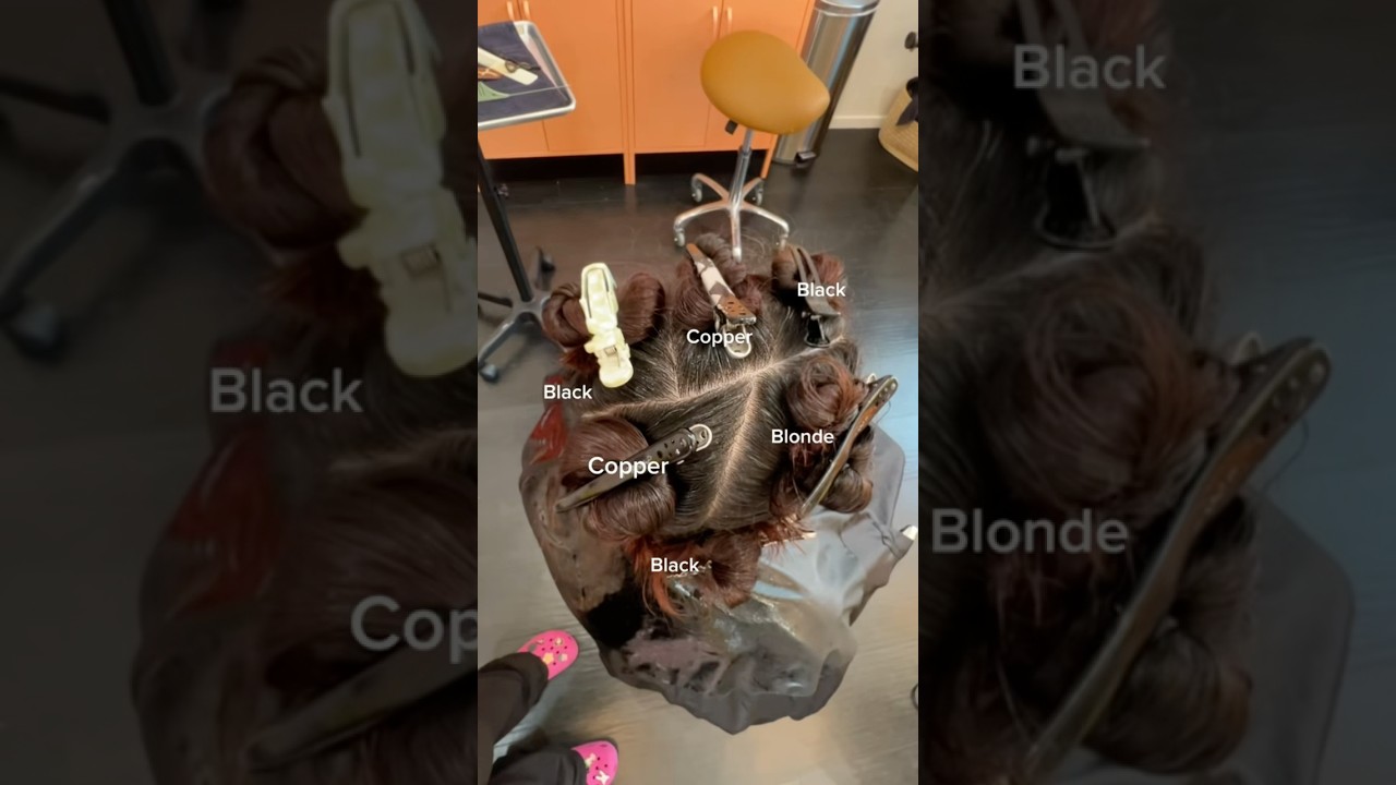 Calico Mapping #calicohair #calico #orangehair #copperhaircolor #haircolor #hair #hairtok