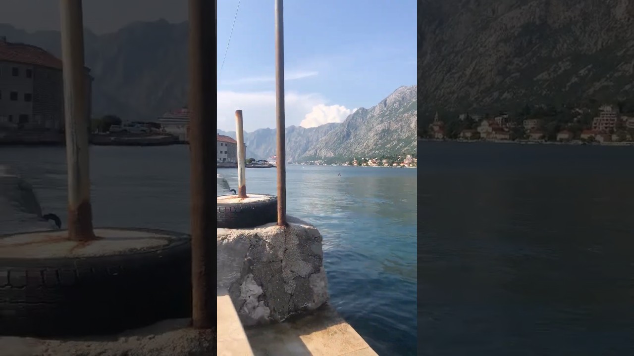 One Of The Best Swim Spots In Kotor Bay, Muo, Montenegro! #summer #travel #travelvlog #swimming