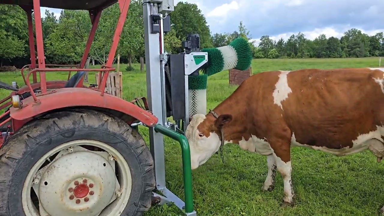 Schurr D22 // Eigenbau Photovoltaik Traktoraufbau