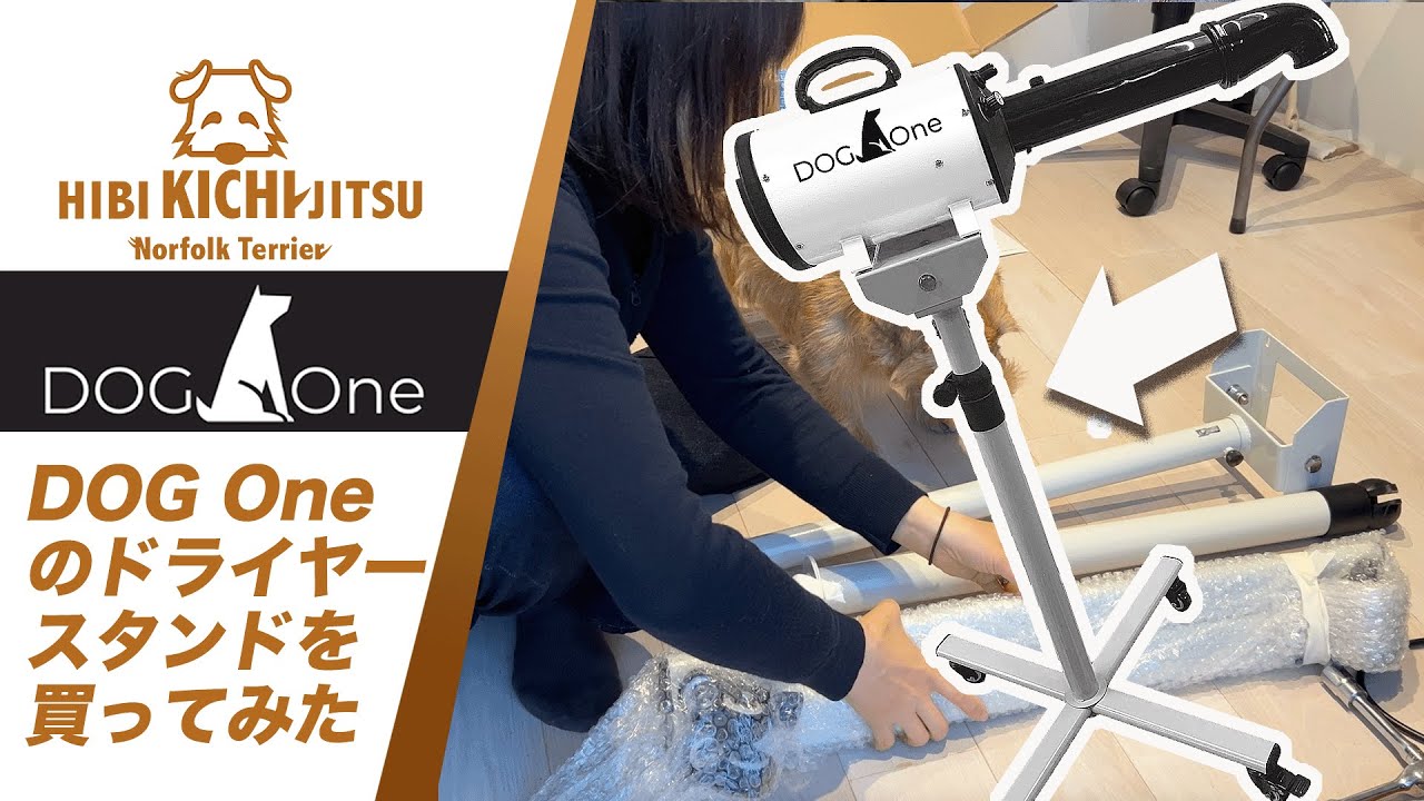 愛犬キチ ドライヤースタンドを買う【DOGONE ノーフォークテリア   norfolkterrier  クイックドライ  】