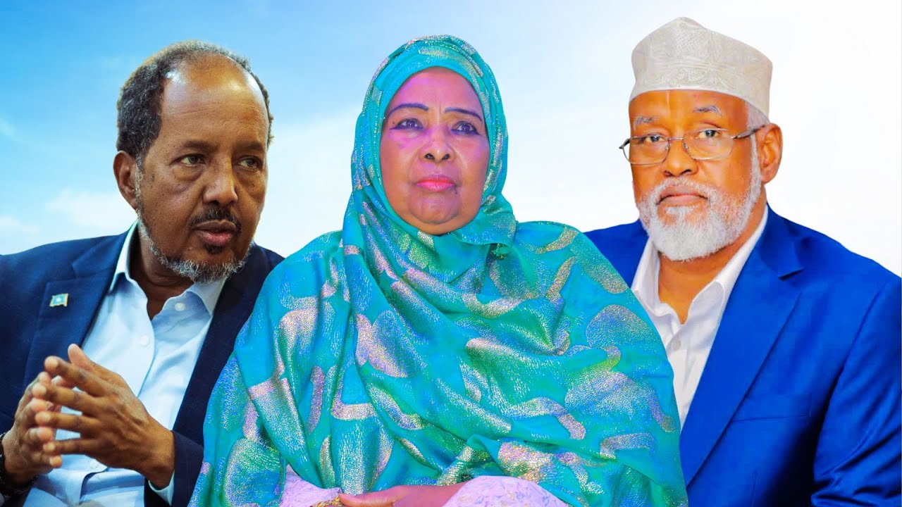 Waraabahu ha dhaco - Gudoomiye Batuulo Ahmed Gaballe oo Madaxweyne Hassan Waraabe ku Tilmaantay.