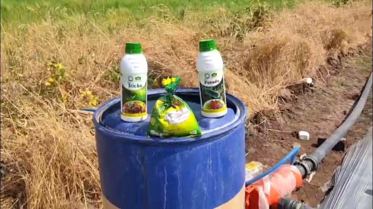 Kharbuja 🌱 part no 04 🙌🏻#viral #farming #viralvideos #lifeisbutadream #sabscribe #viralvideos 