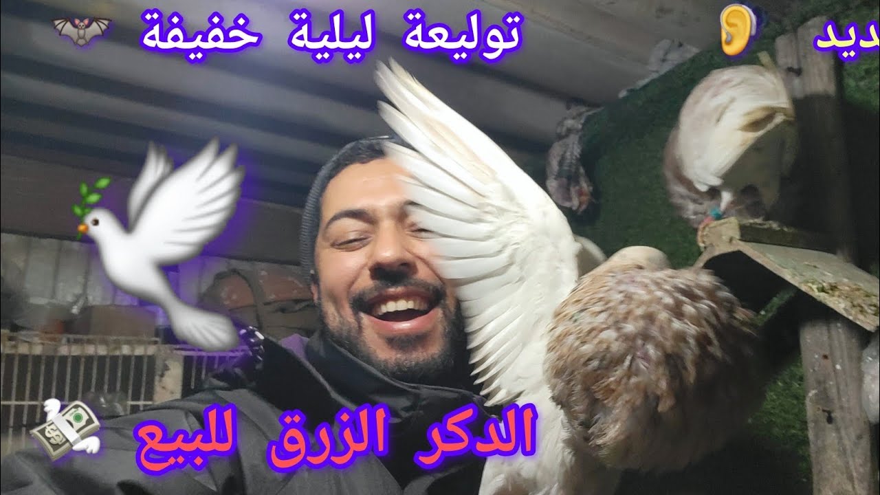 متوقعوش شنو غانبيع 🥹كاين التجارة 💸وسط الليل كاينا الولاعة 🕊نحبكم في الله الماليع 🔥💸🕊