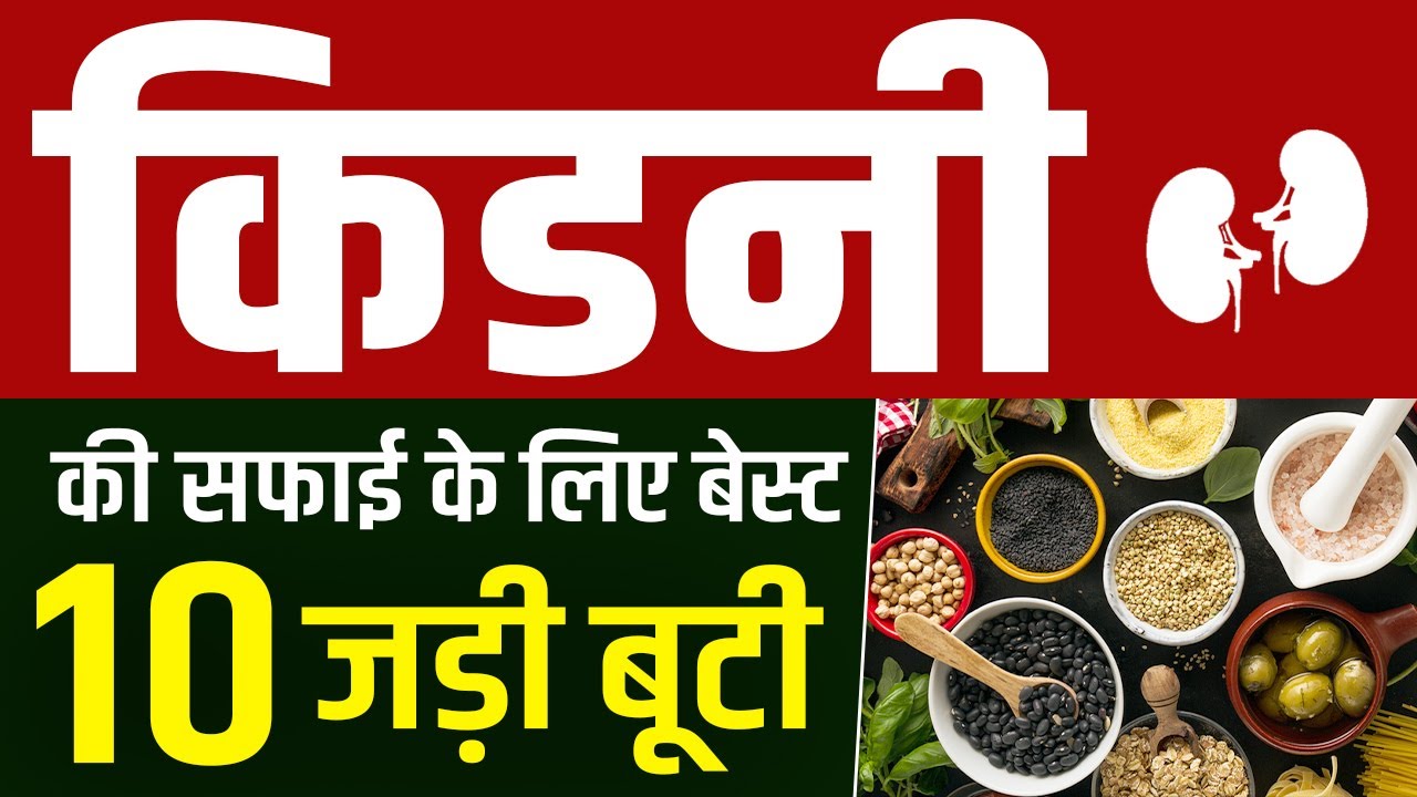किडनी की सफाई के लिए बेस्ट 10 जड़ी बूटी