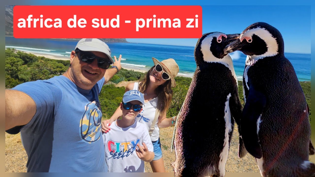 Africa de Sud: am închiriat o mașină cu volanul pe dreapta și am pornit în explorare 