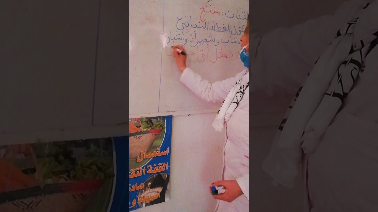 السلسلة الغذائية