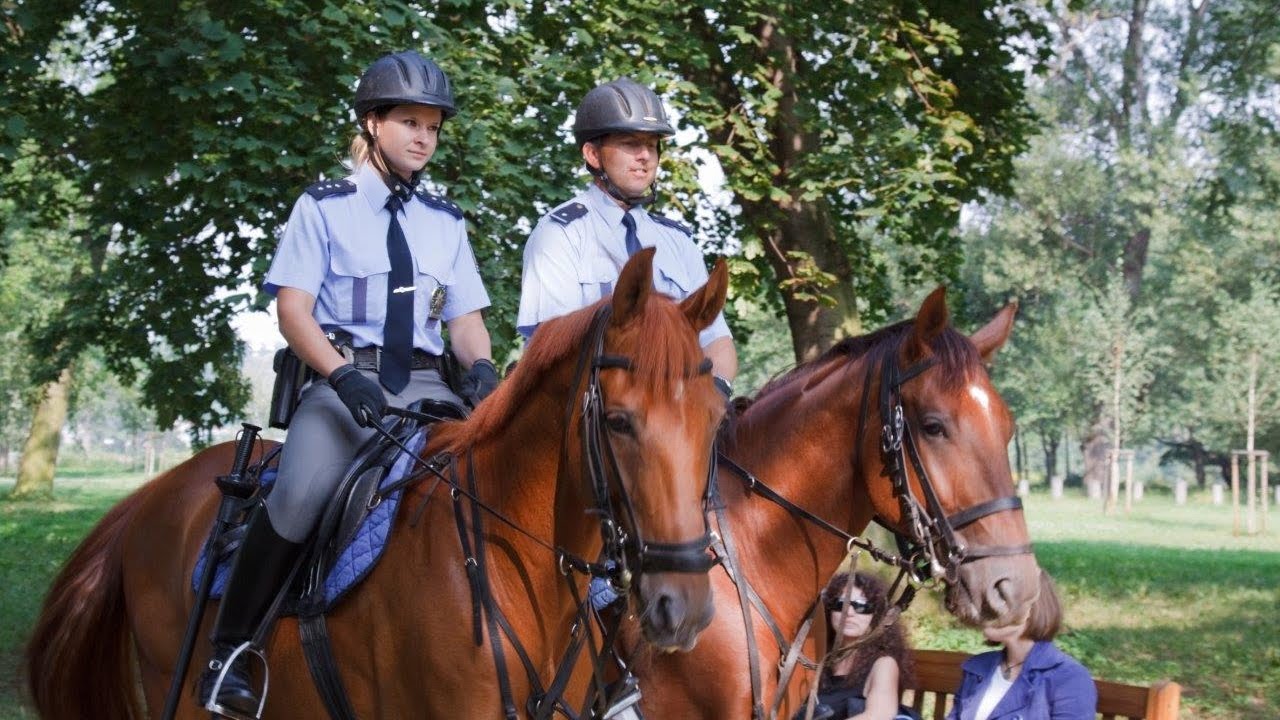 Policie ČR: Policejní koně a psi