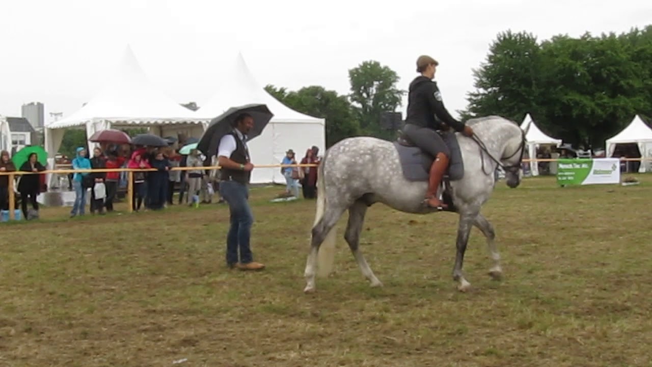 Horst Becker 3von3, Equitana OpenAir 22.05.2016