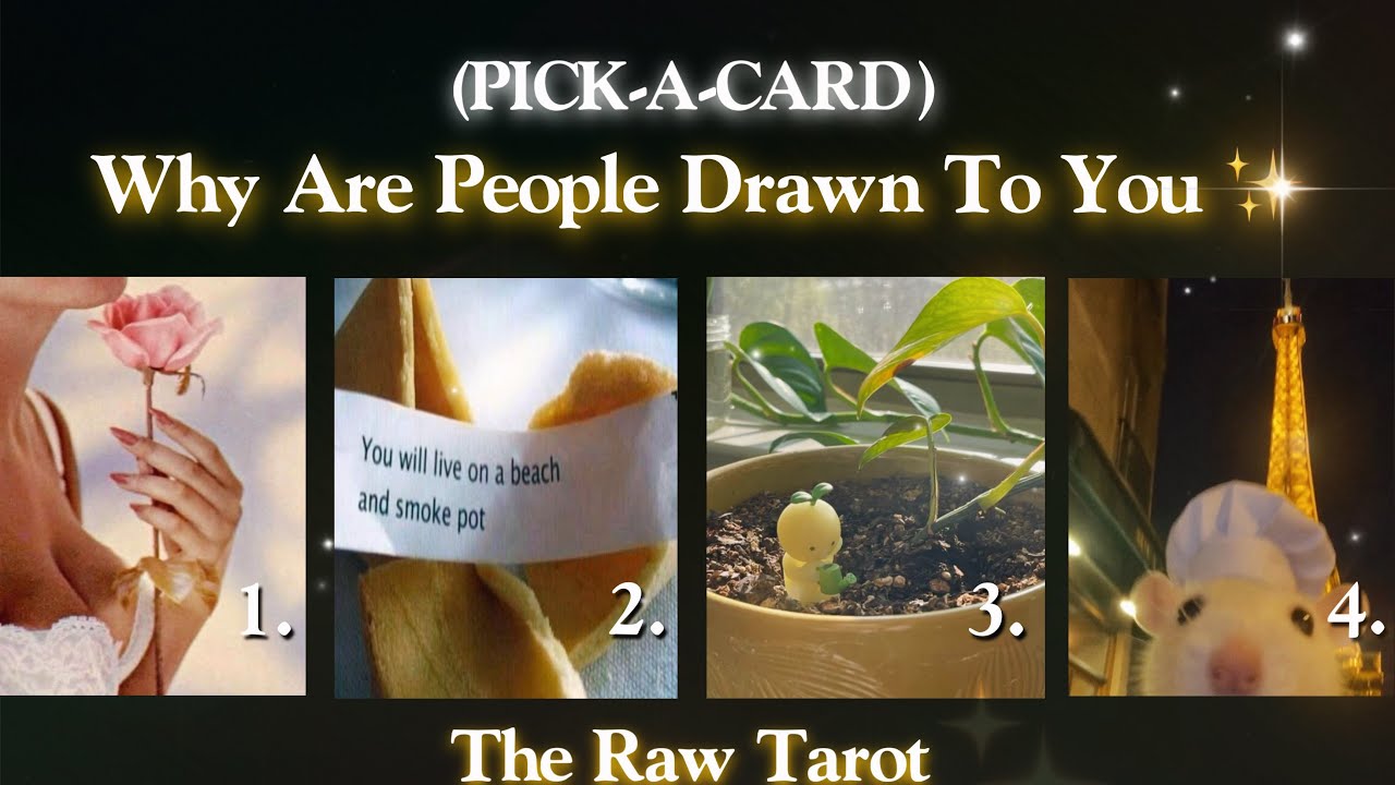 Why Are People Drawn To You? ✨ (Pick-A-Card)