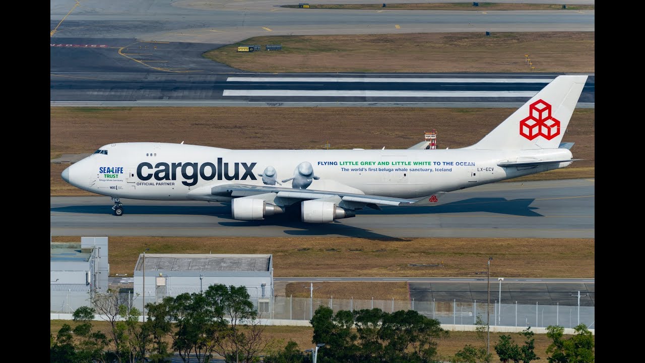 Cargolux to fly beluga whales to new home in Iceland