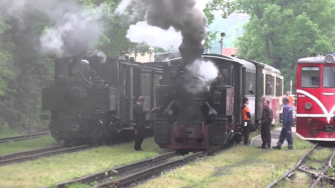 U37.002 a U46.001 - dvě &uacute;zkokolejn&eacute; parn&iacute; lokomotivy před j&iacute;zdou 11.5.2013