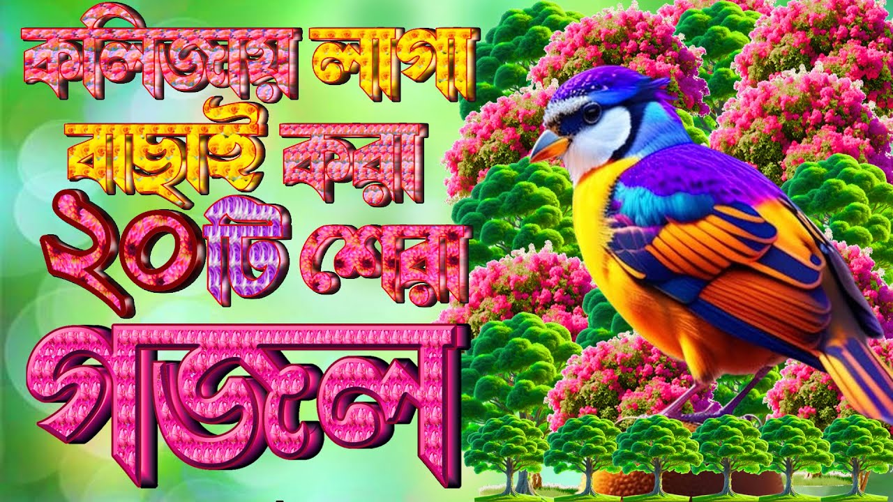 কলিজায় লাগা সেরা ২০টি গজল |প্রান জুরানো গজল |Selected Gajal |Islamic Bangla Gojol,Best Islamic Song