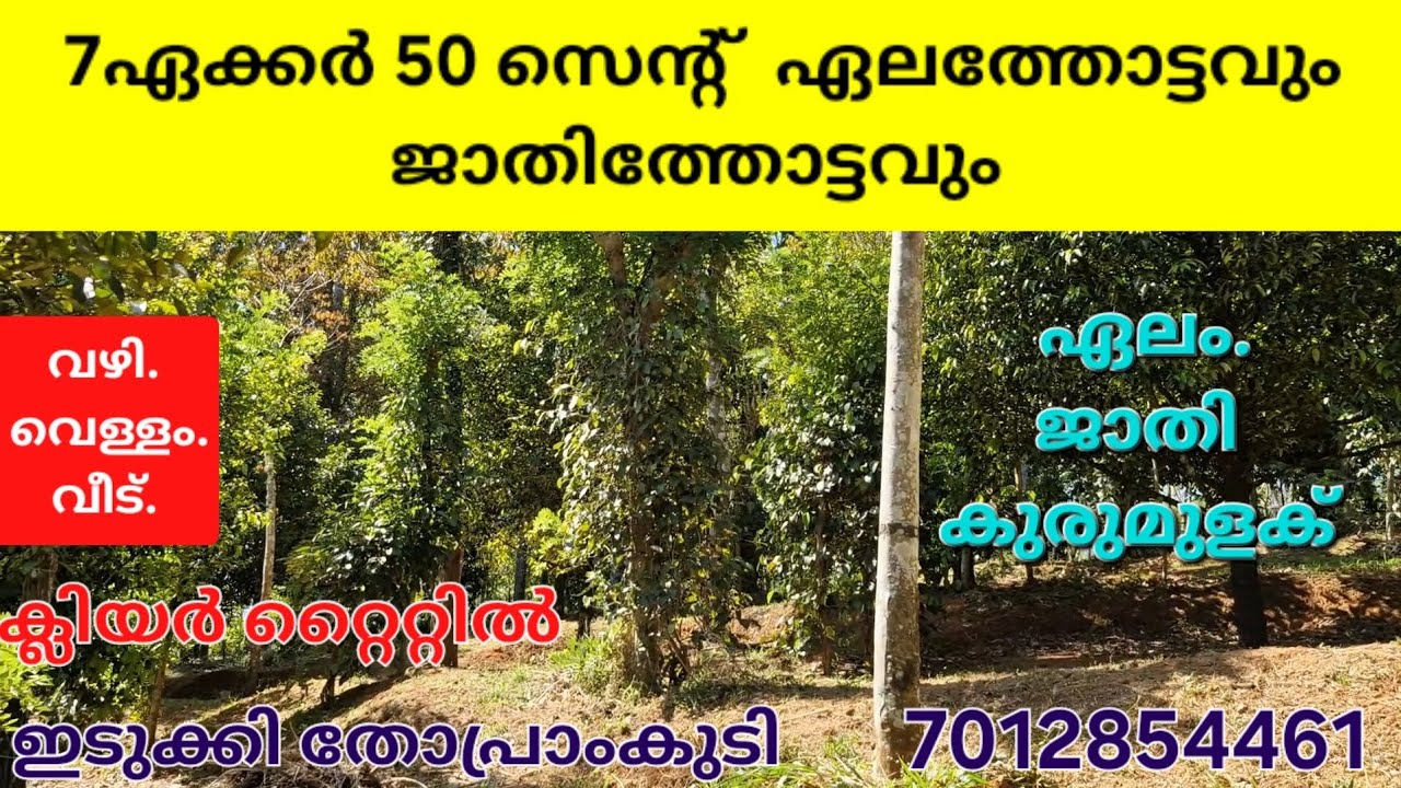 7ഏക്കർ 50 സെന്റ് അടിപൊളി ജാതിത്തോട്ടവും ഏലത്തോട്ടവും വീടും. വഴി വെള്ളം ക്ലിയർ റ്റൈറ്റിൽ. ഇടുക്കി, 👇👇