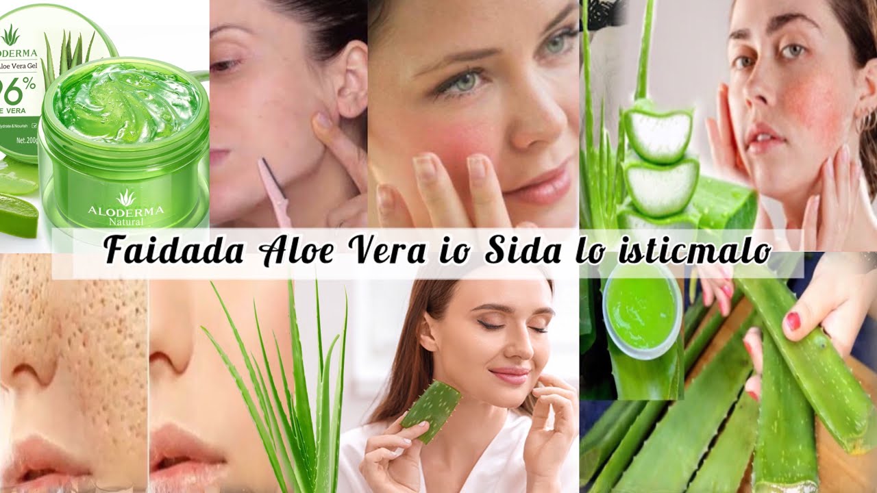 Mucjisada geedka dacarta faidada ka buuxdo io sida lo isticmalo wajiga timaha jirka o dhan