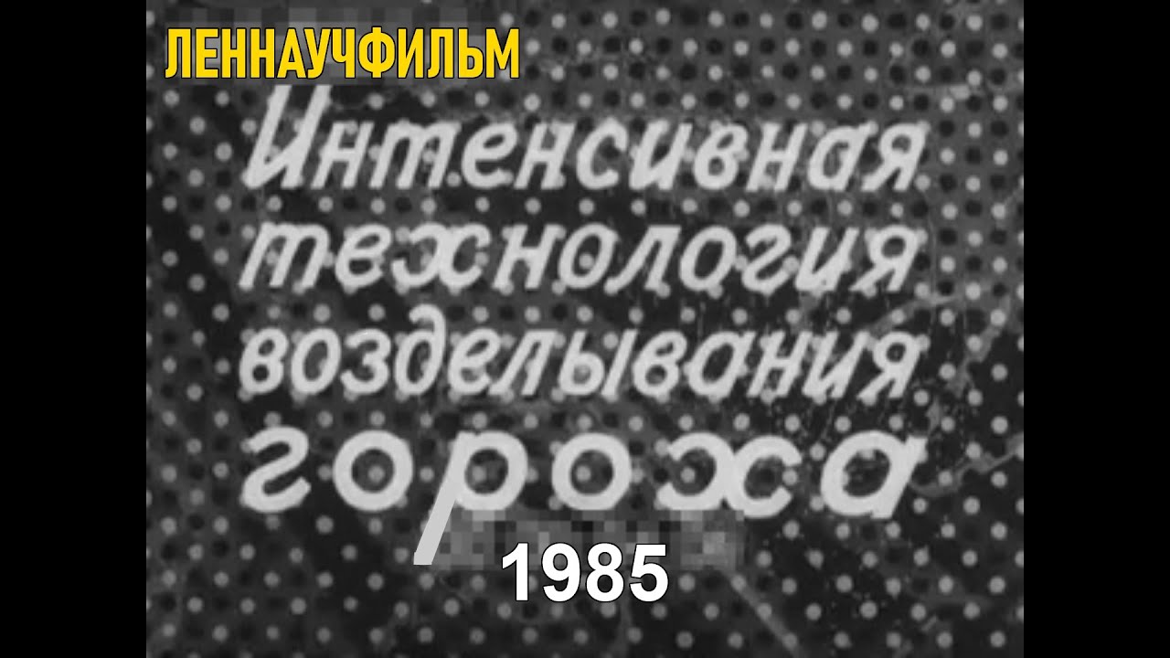 Интенсивная технология возделывания гороха