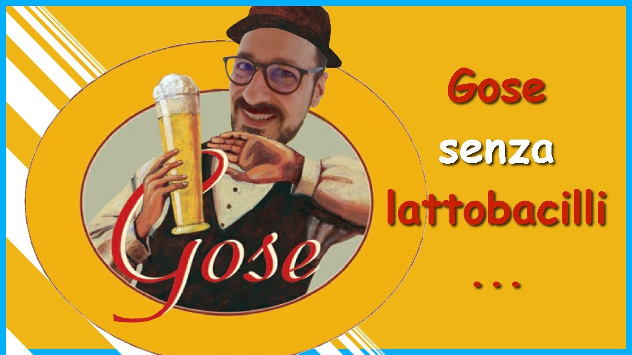 GOSE senza lattobacilli