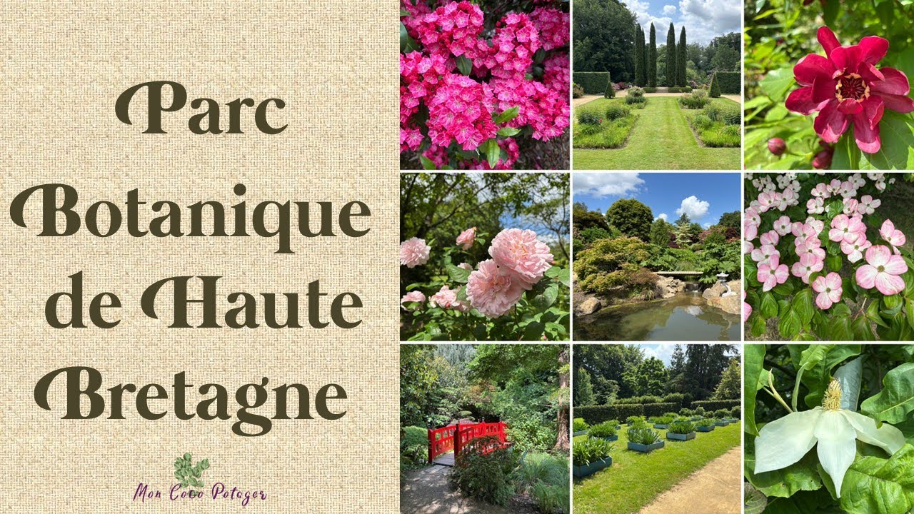 Un parc époustouflant en Bretagne !