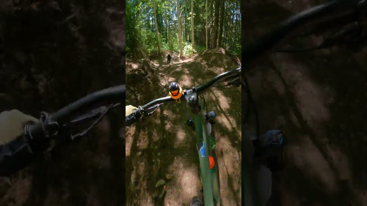 Toby...MTB dog