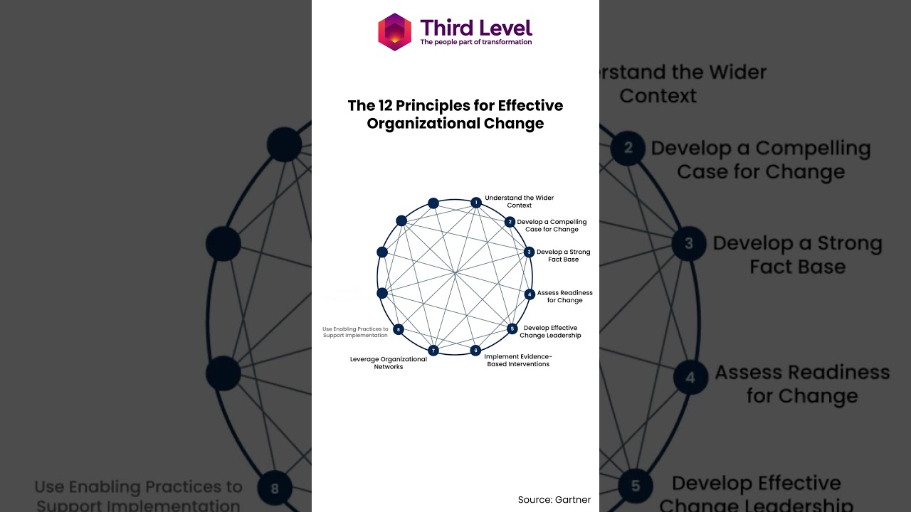 The 12 Principles for Effective Organizational Change
