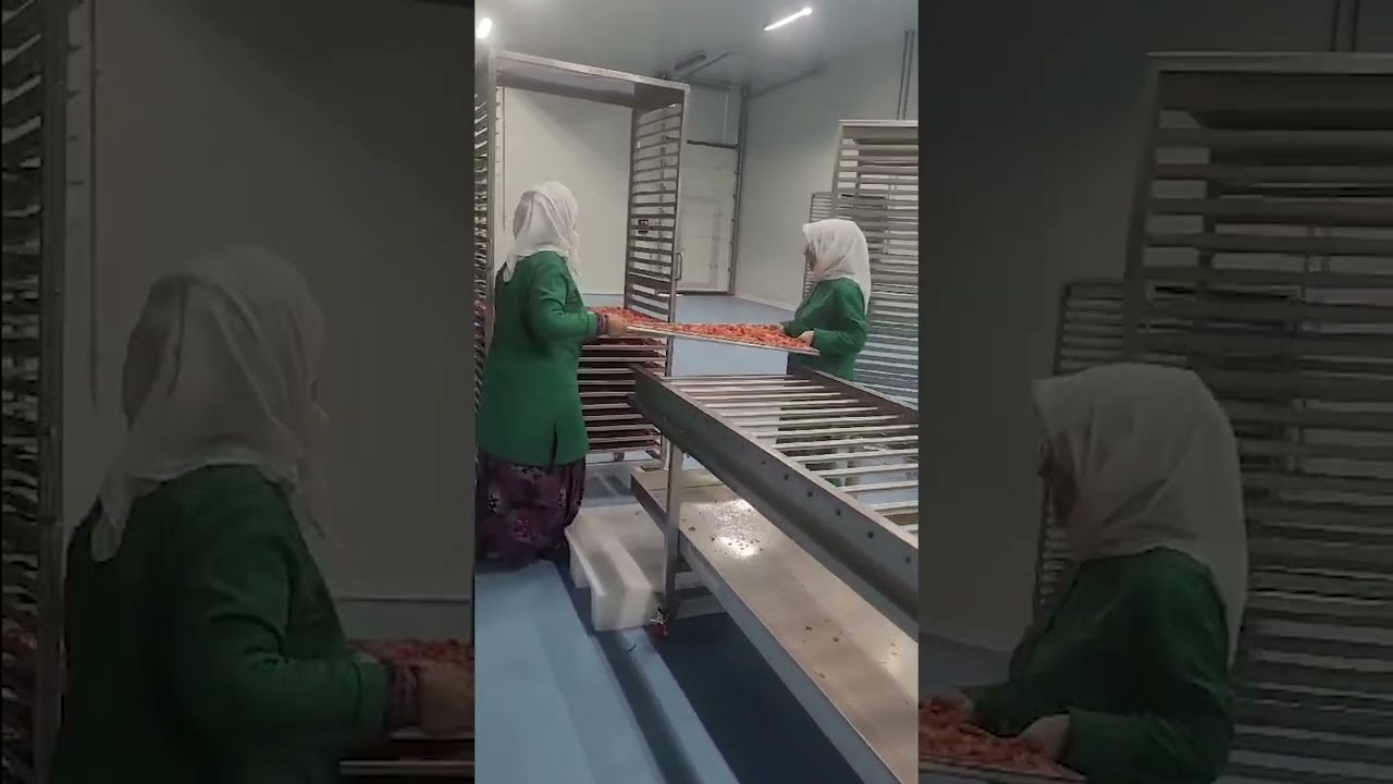 Meyve ve Sebze Dilimleme Hattı Segment Kesme  - Özistikbal