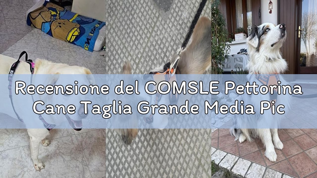 Recensione del COMSLE Pettorina Cane Taglia Grande Media Piccola, Pettorina per Cani Anti Tiro Rifle