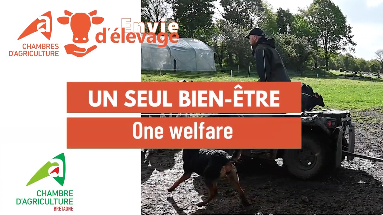 Un seul bien être - One welfare