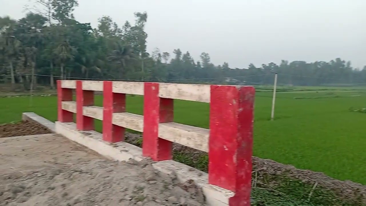গ্রামের প্রকৃতি: সবুজ মাঠ আর শান্ত জীবনের গল্প