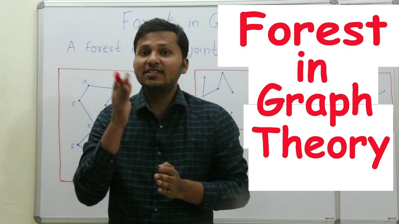Лес с деревом в теории графов №11