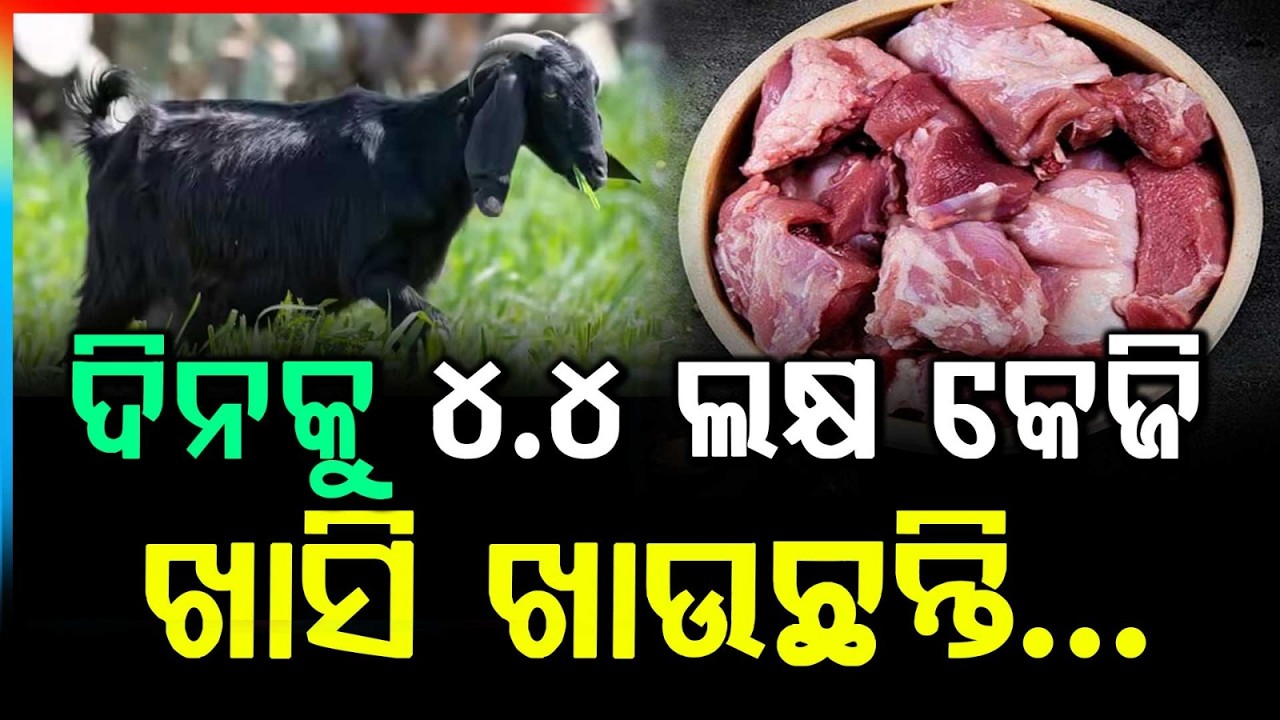 ଦିନକୁ ୪.୪ ଲକ୍ଷ କେଜି ଖାସି ! | Odisha’s Huge Mutton Demand | People Consume 4.4 Lakh Kg Mutton Daily