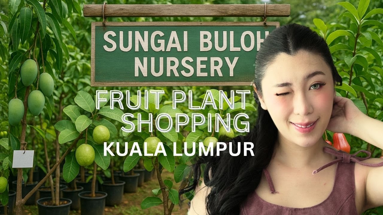 Malaysia’s Largest Plant Nursery?! 🌿 Buying Fruit Trees in Sungai Buloh (4K Vlog)