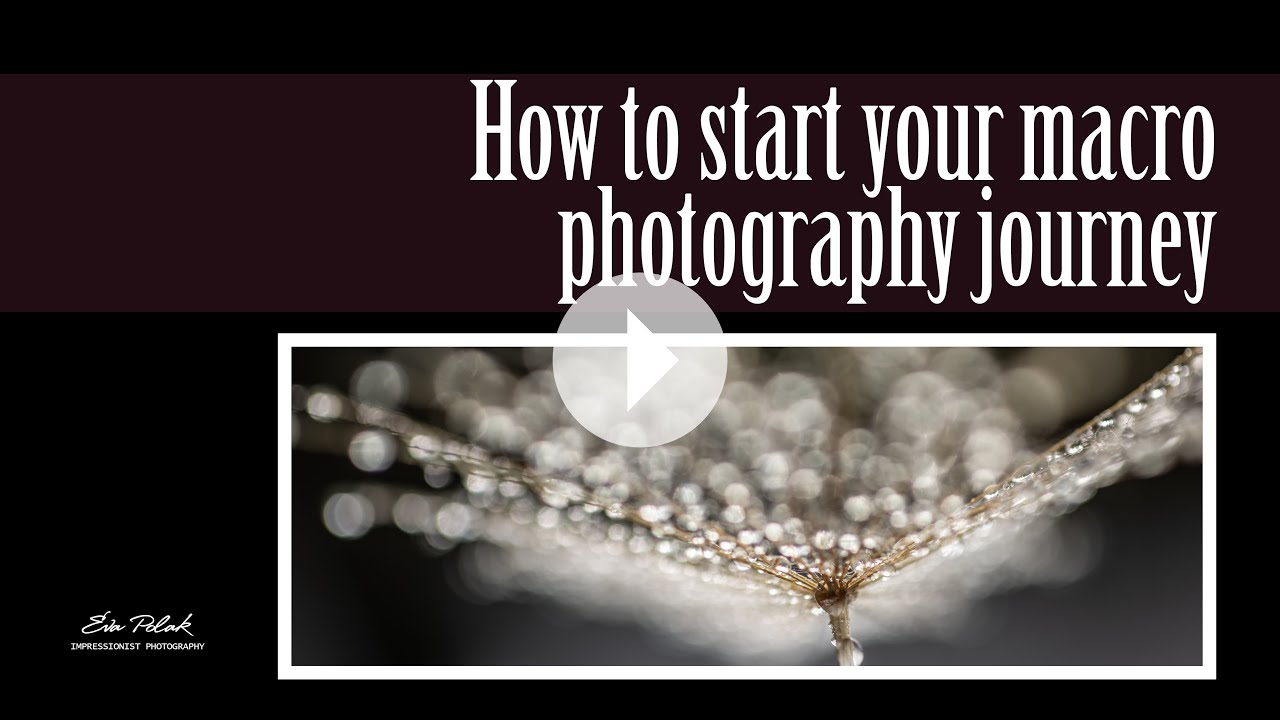 How to start your Macro Photography Journey