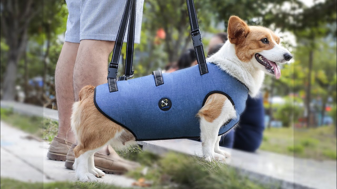 COODEO Dog Lift Harness, Pet Support & Rehabilitation Sling.